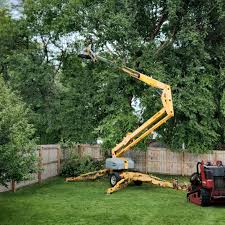 Best Landscape Design and Installation  in Matawan, NJ