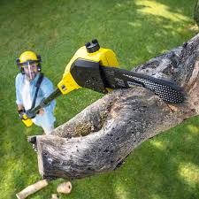 Best Storm Damage Tree Cleanup  in Matawan, NJ