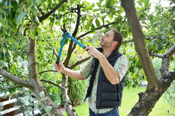 Best Commercial Tree Services  in Matawan, NJ